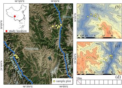 Comparing Elevational Patterns of Taxonomic, Phylogenetic, and Functional Diversity of Woody Plants Reveal the Asymmetry of Community Assembly Mechanisms on a Mountain in the Hengduan Mountains Region